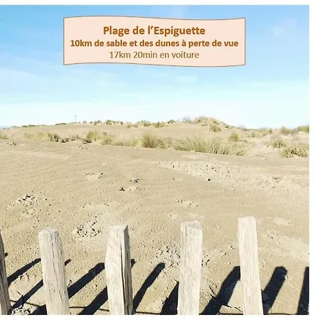 Port Jo Clim Wifi Garage Et Piscine Au Couchant 3pers - Rossiconciergerie - Linge Inclus